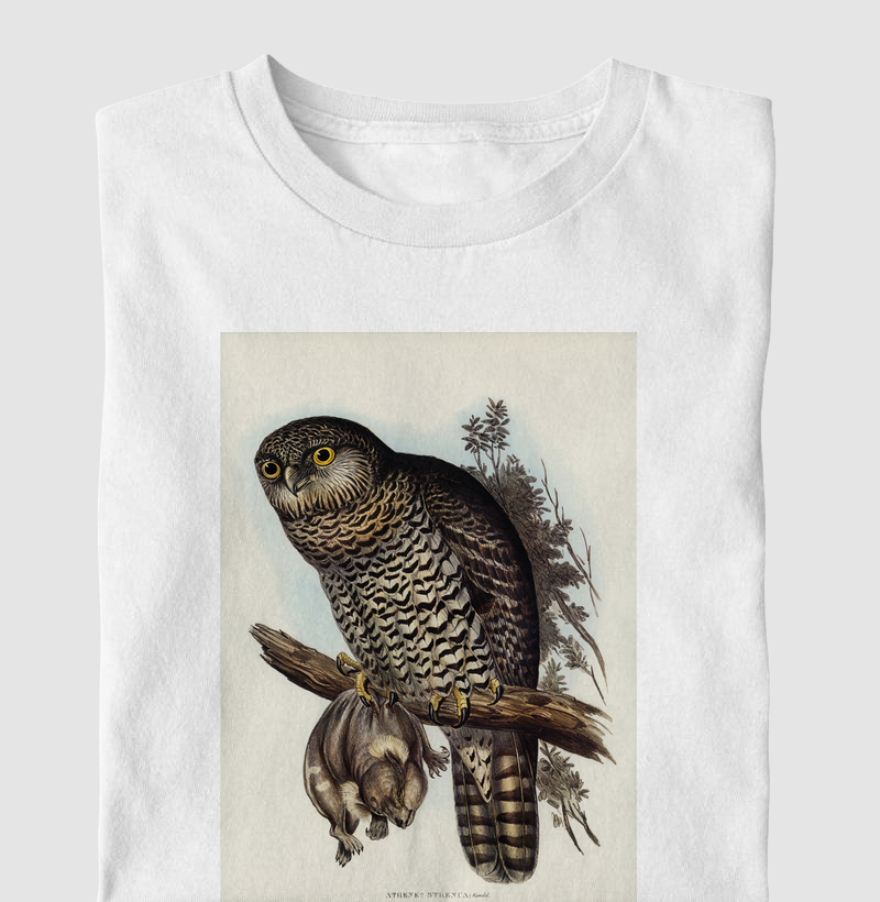 Powerful Owl