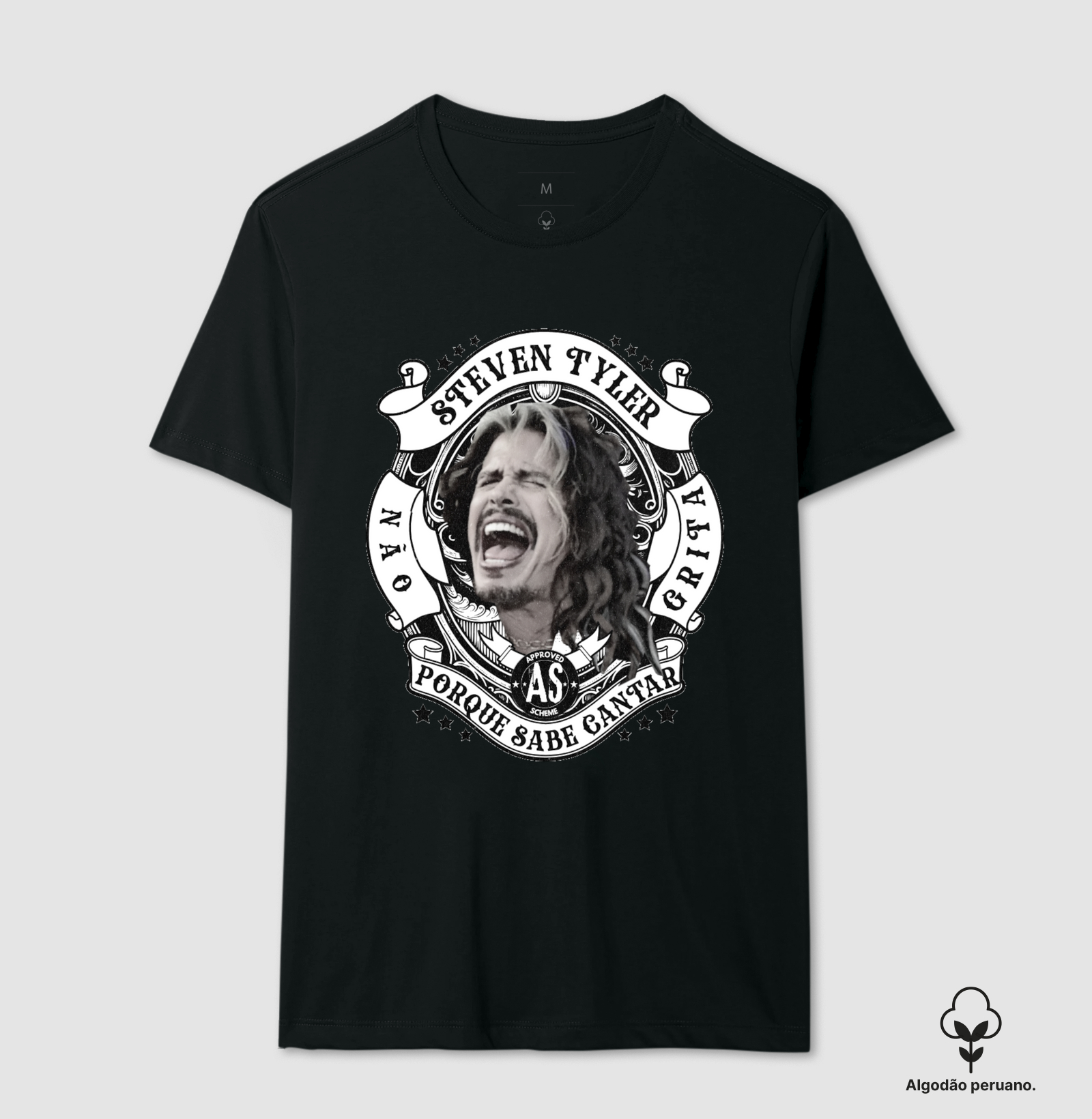 Steven Tyler Não Grita Porque Sabe Cantar
