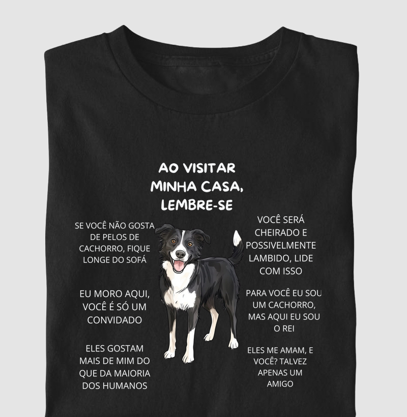 Ao visitar minha casa, lembre-se