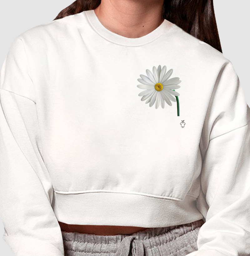 Coleção flores