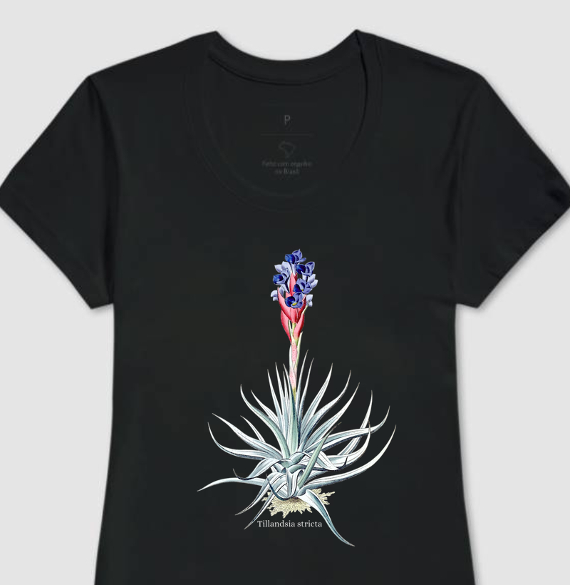 Camiseta Feminina Tillandsia stricta 2