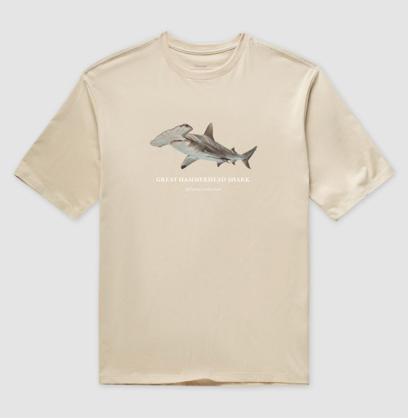 Great Hammerhead Shark