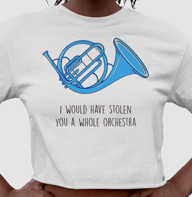 I WOULD HAVE STOLEN YOU A WHOLE ORCHESTRA