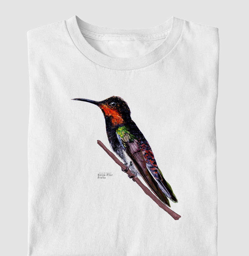 Aves do Brasil - Beija-Flor Preto - Infantil
