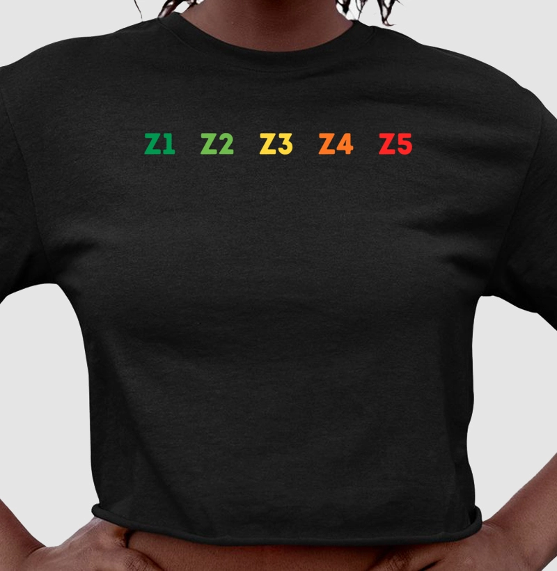 ZONAS DE INTENSIDADE