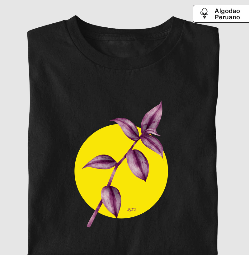 Tradescantia zebrina