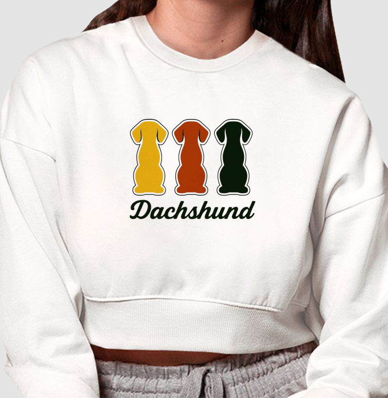 Dachshund Alemão