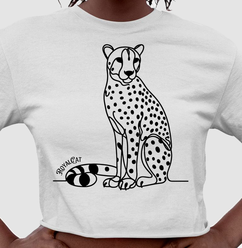 The Geometry of Agility