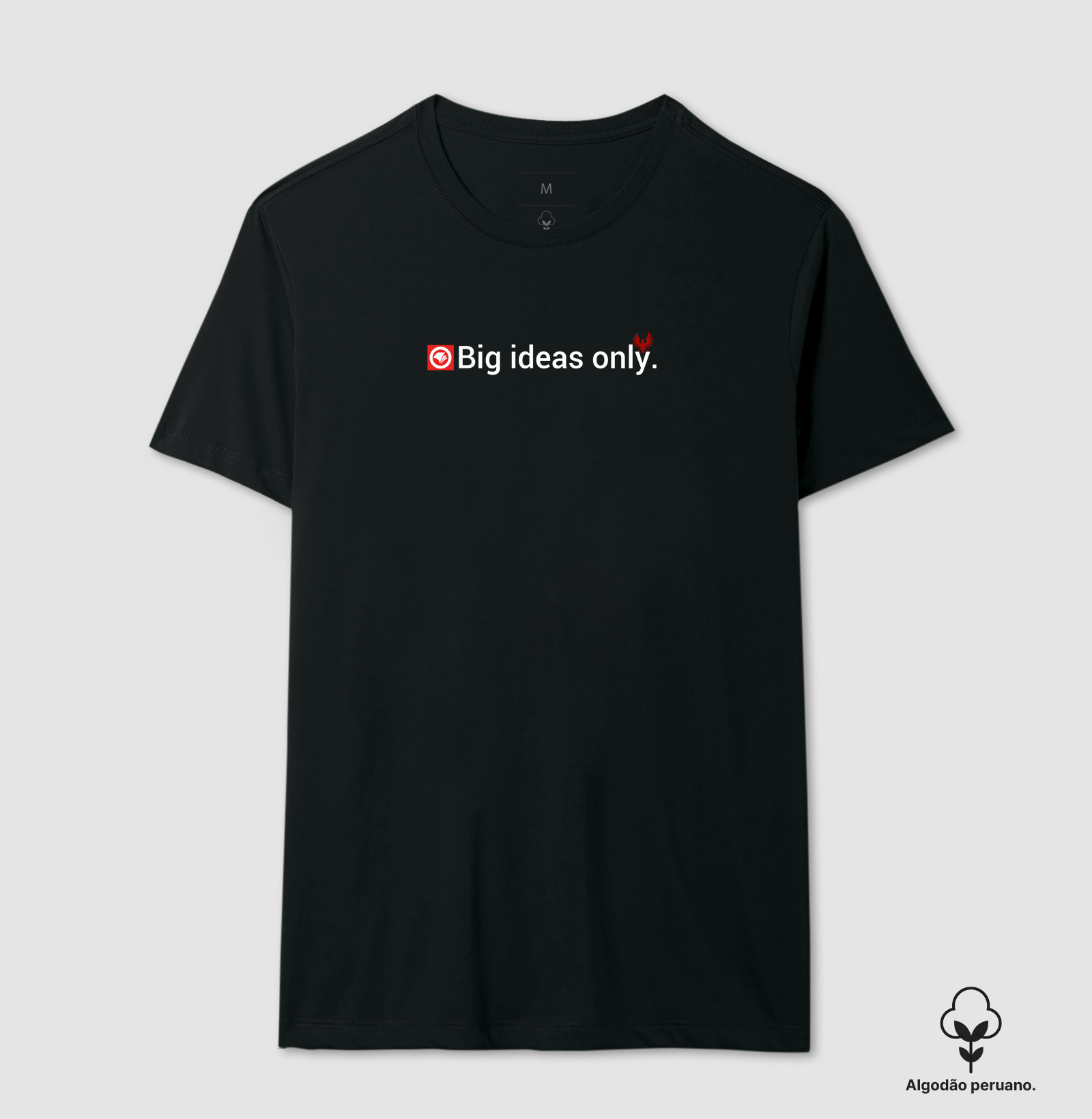 big ideias kids
