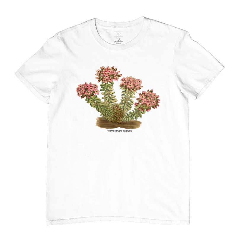 Camiseta Prometheum ( Sedum ) pilosum