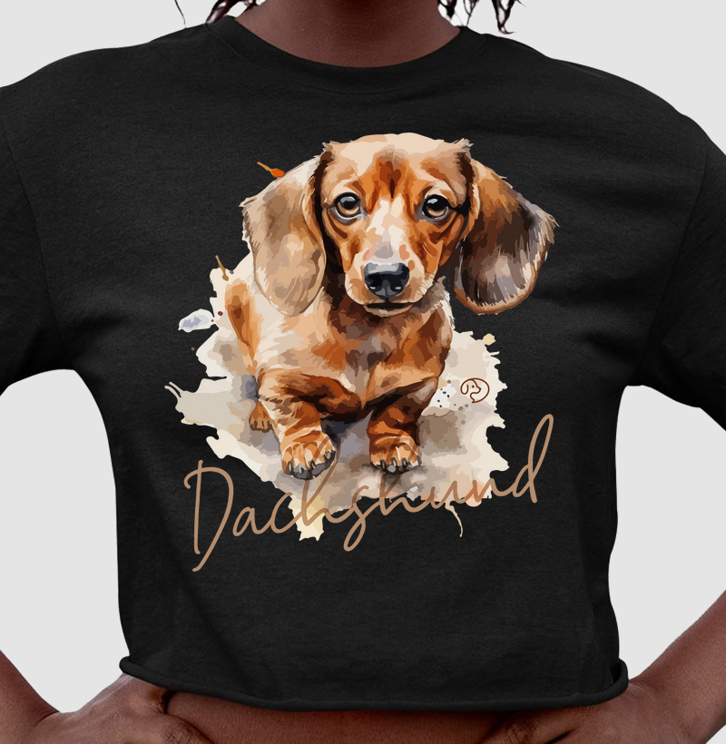 Dachshund Splash