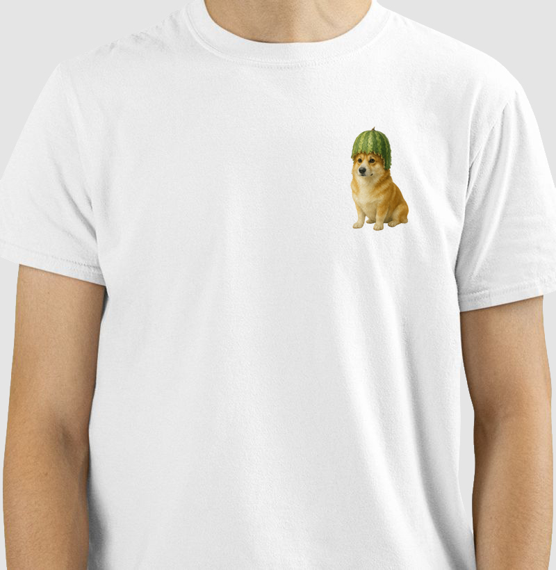 Just a Corgi with a watermelon helmet