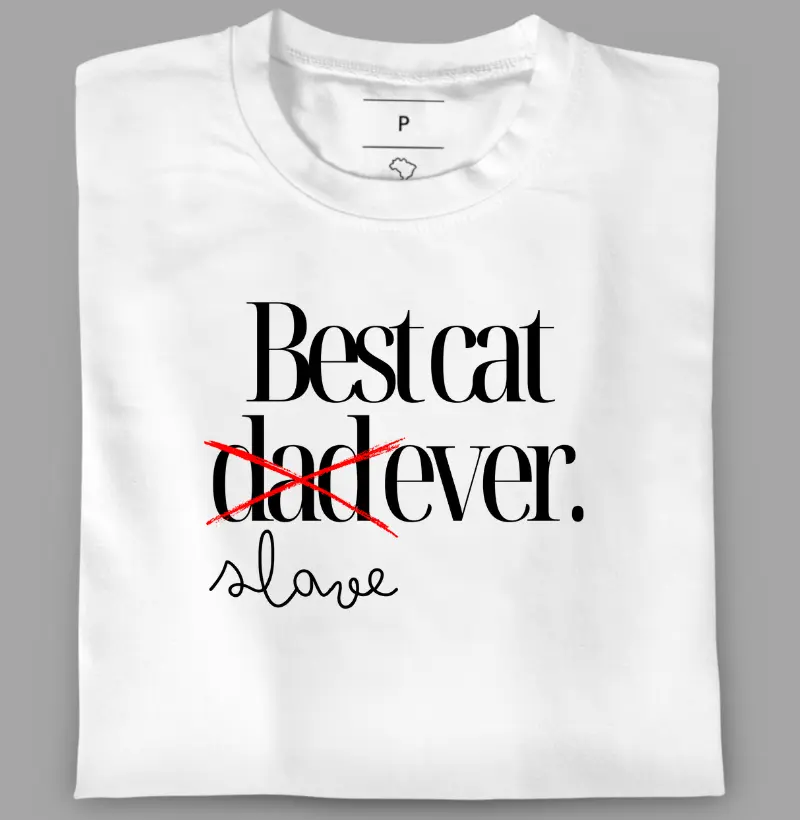 Best cat slave