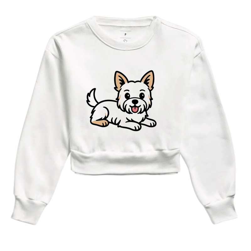 Yorkshire Terrier Branco