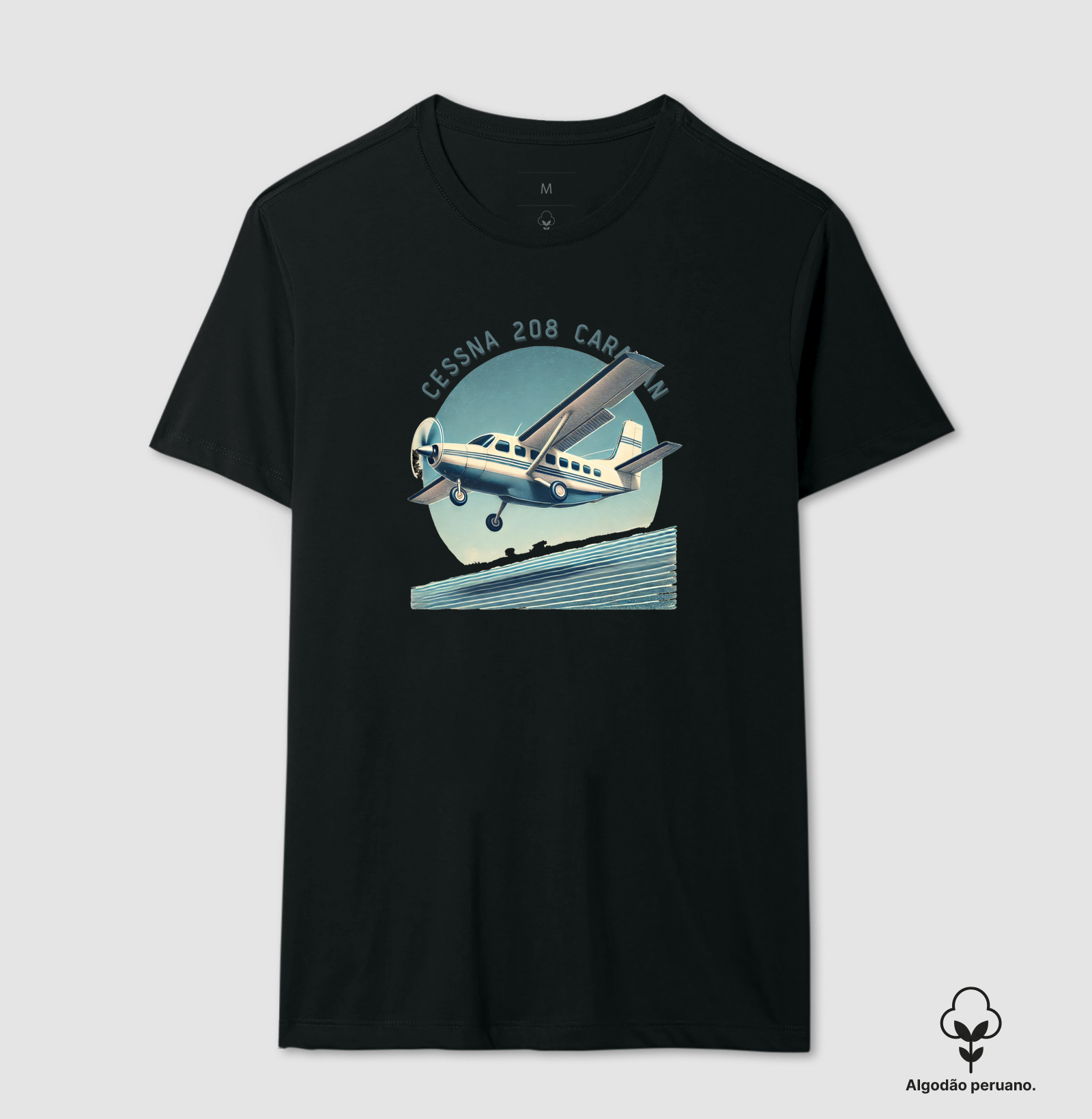 Cessna Caravan 208