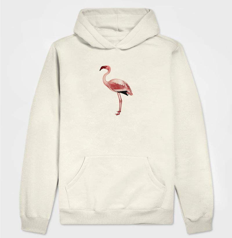Lesser Flamingo