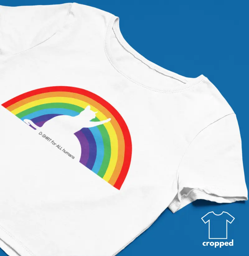 cropped - rainbow cat