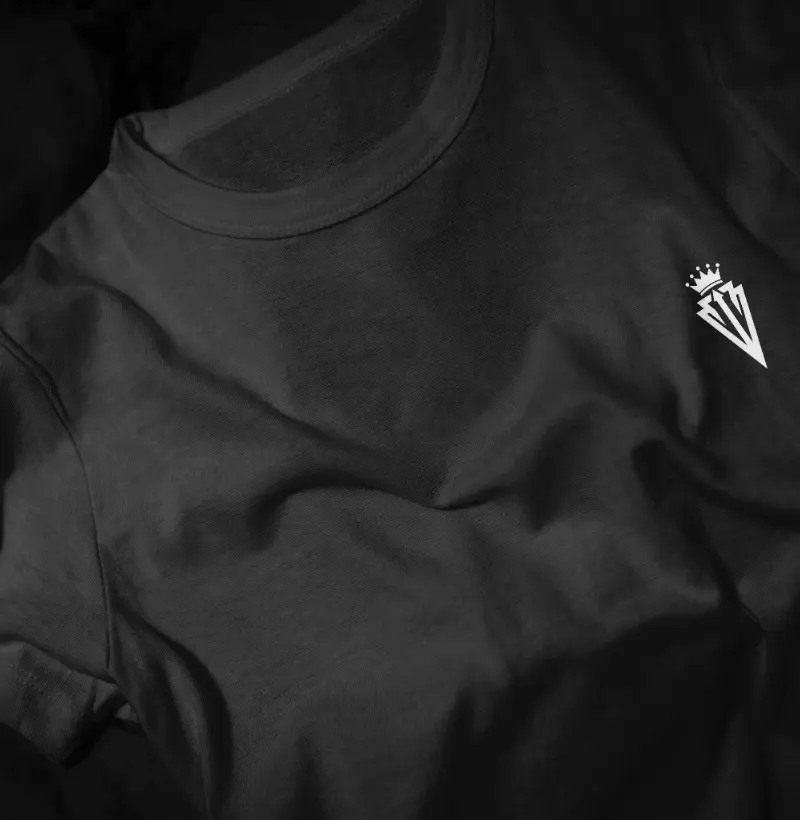 Camiseta Vanyster clássico logo no peito 