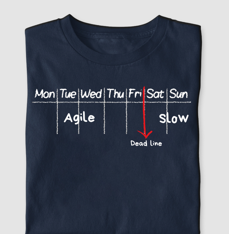 Agile/Slow