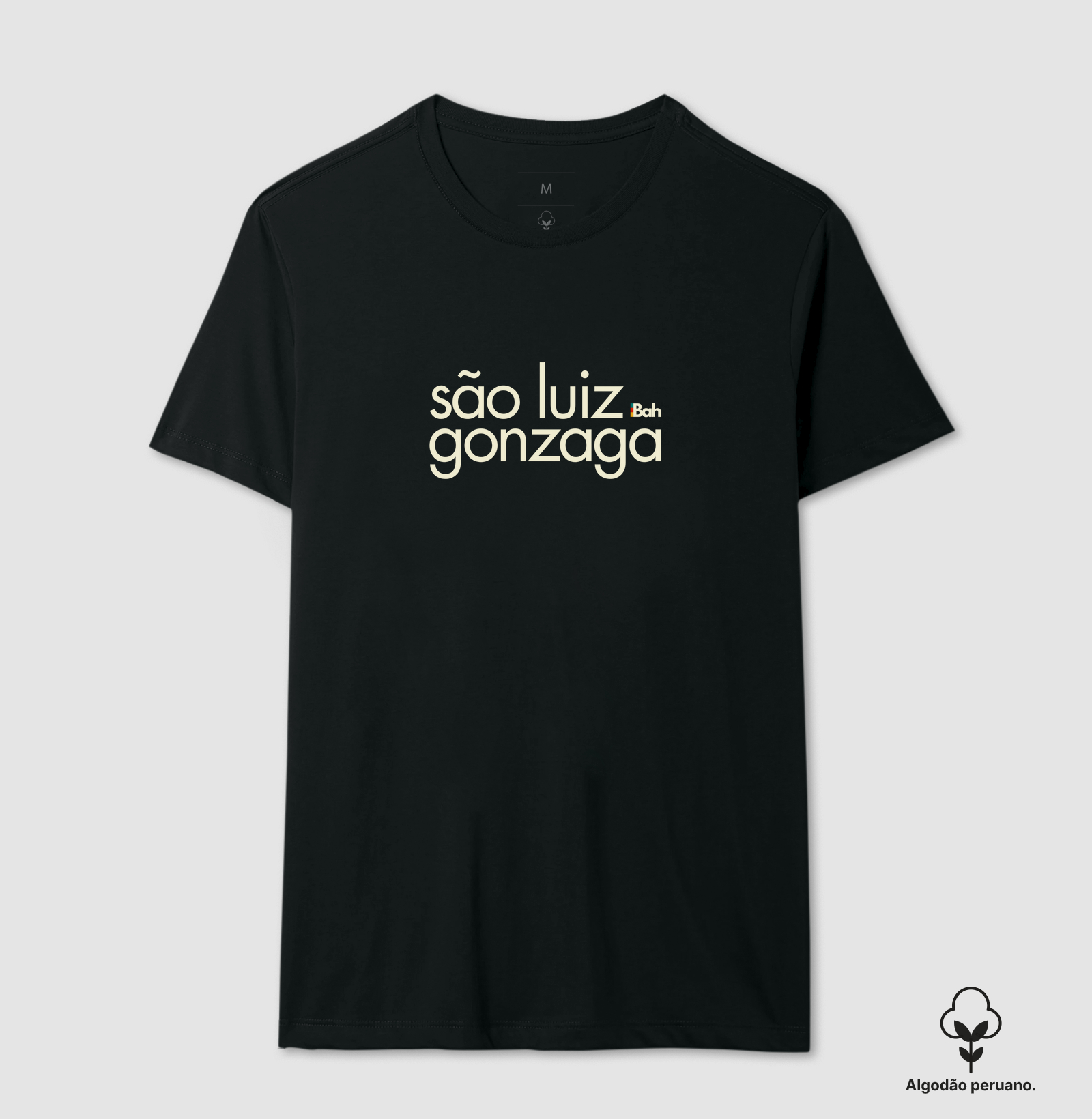 São Luiz Gonzaga