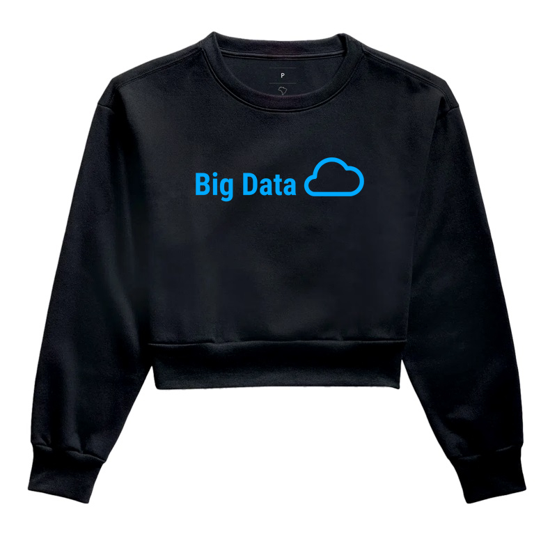 Big Data