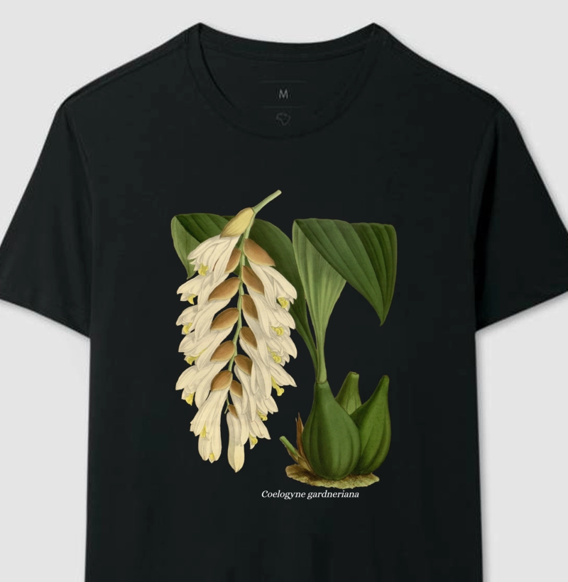 Camiseta Coelogyne gardneriana
