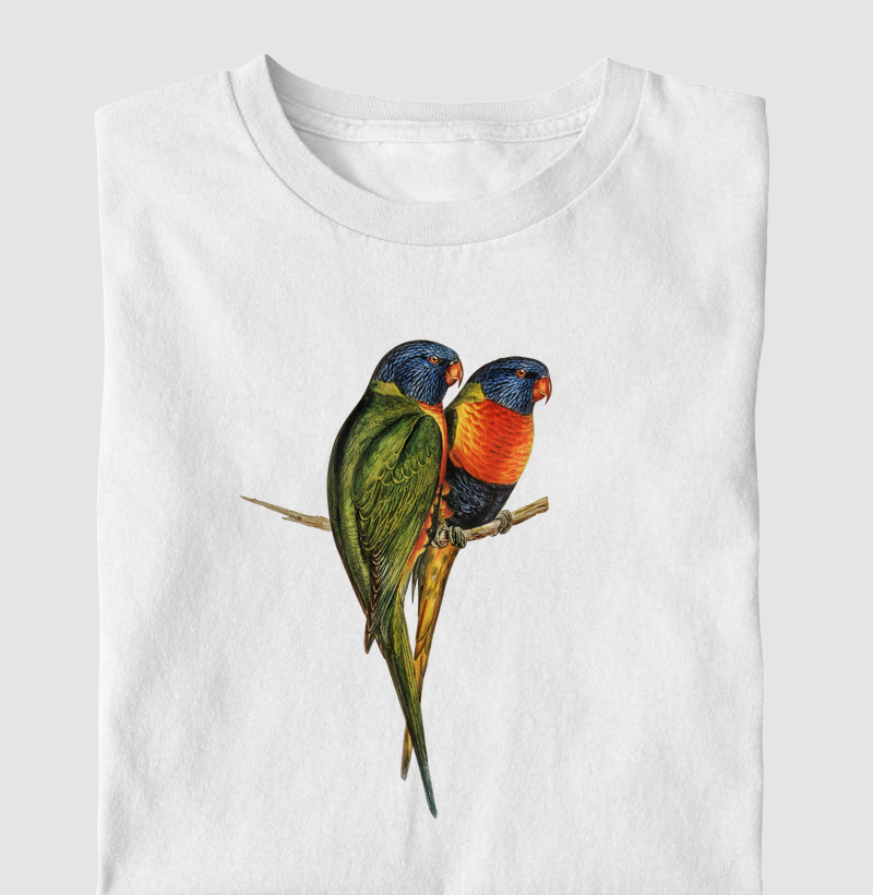 Rainbow Lorikeet