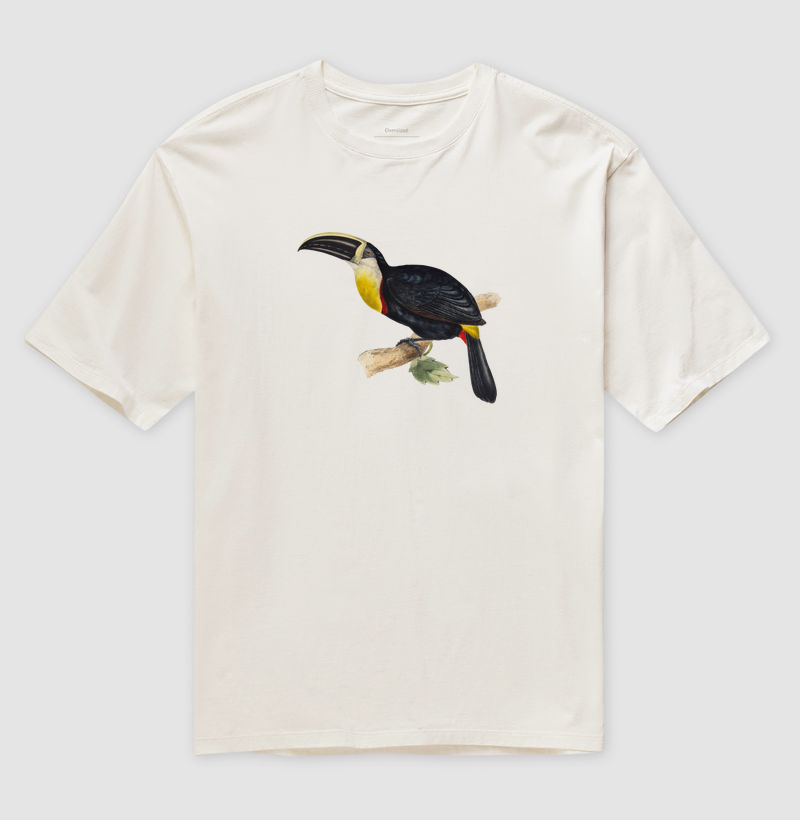 Ramphastos osculans