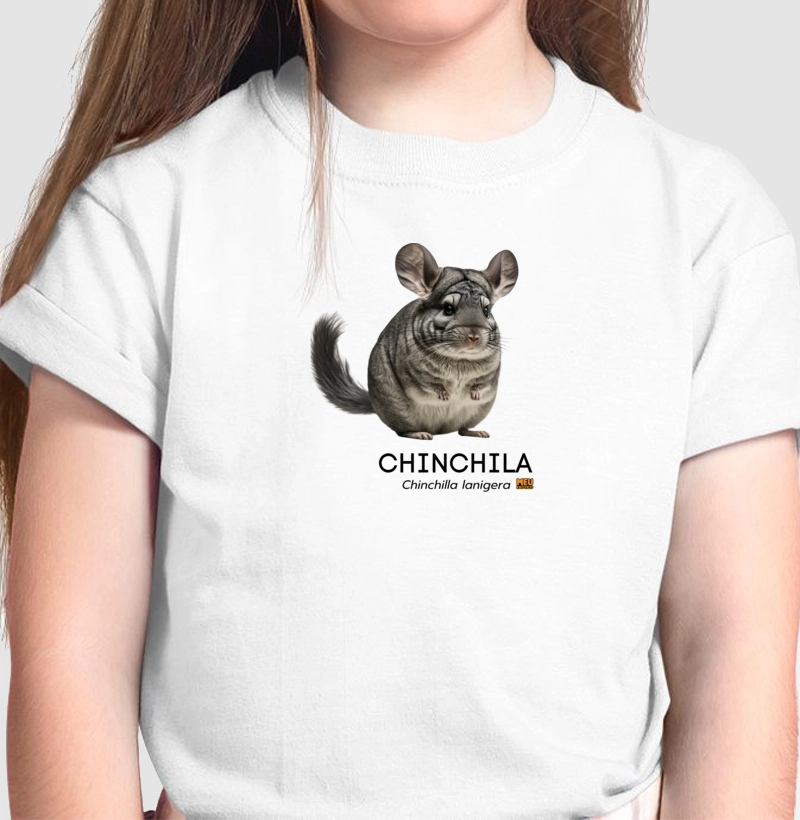 Chinchila