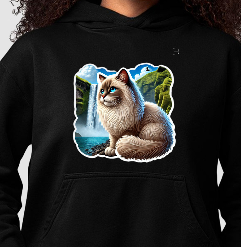 Gato - Ragdoll