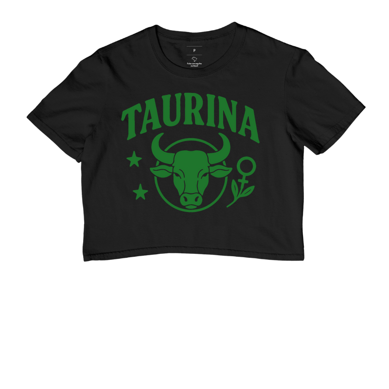 Touro III