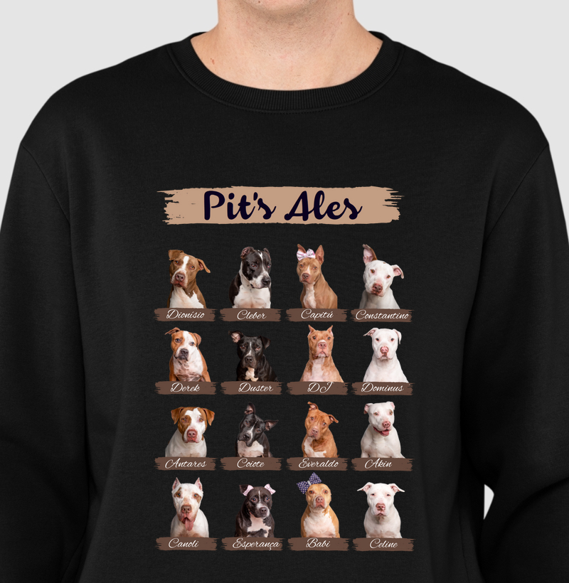 Moletom Slim Listras de Pit's Ales