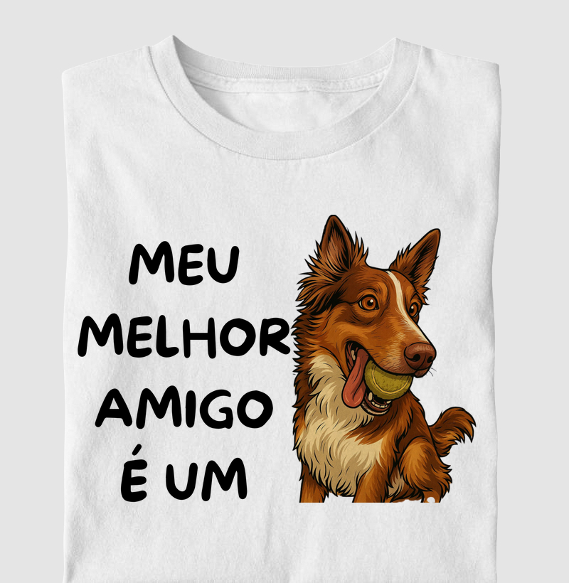Meu melhor amigo é um border collie