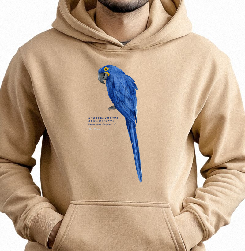 Arara Azul Cores