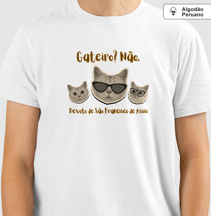 DEVOTO DE SÃO FRANCISCO DE ASSIS