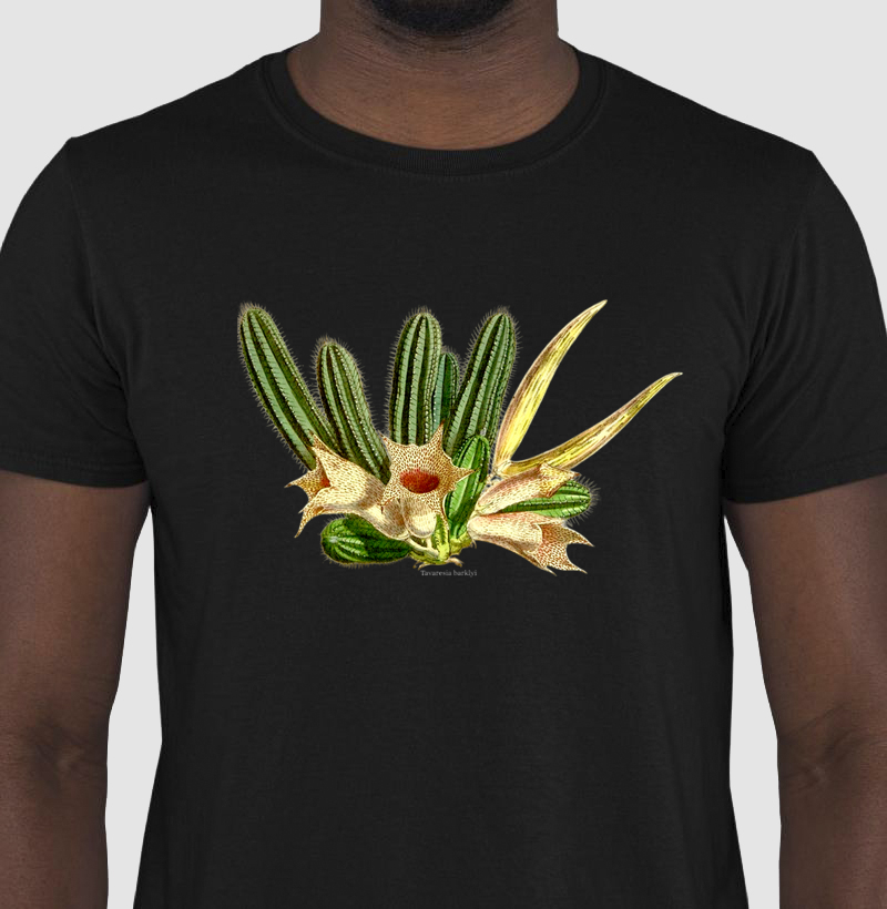 Camiseta Tshirt Tavaresia barklyi
