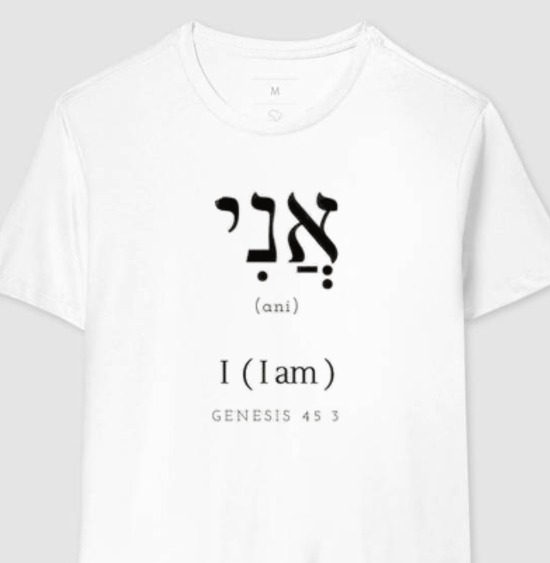 GENESIS 45.3