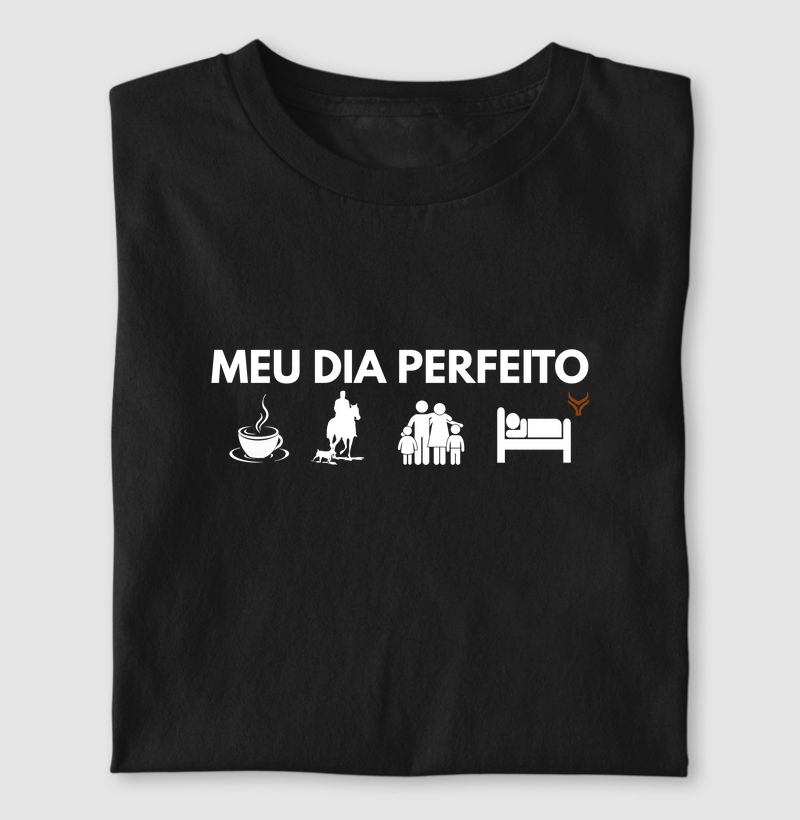 Meu dia perfeito 