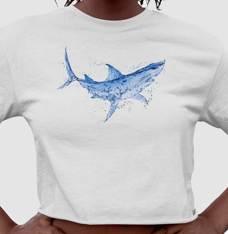 Splash Shark