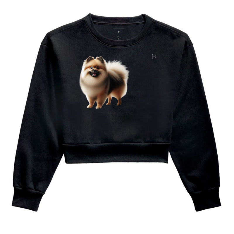 Lulu da Pomerânia | Spitz Alemão 4