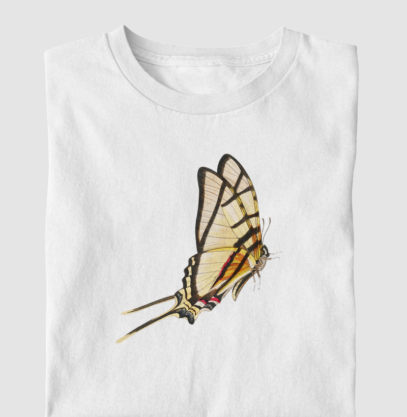 Borboleta