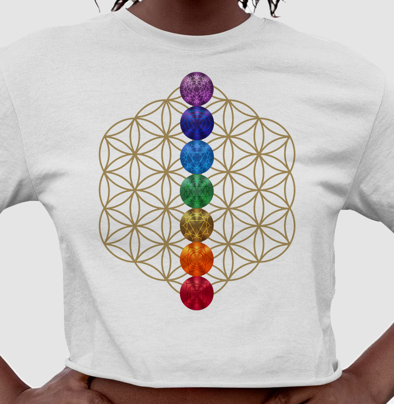 Sete Chakras