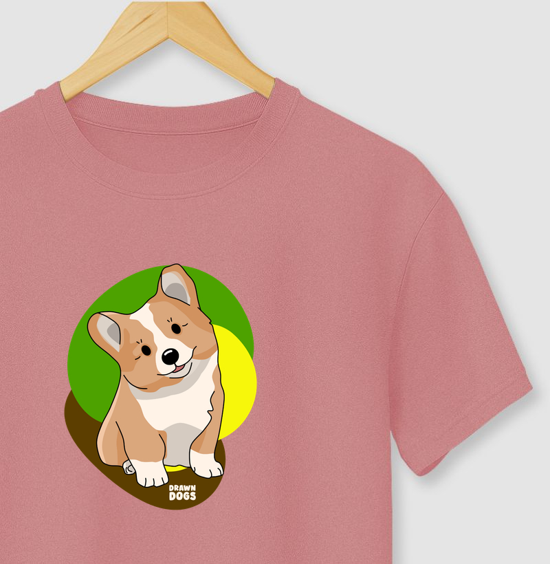 Welsh corgi 02
