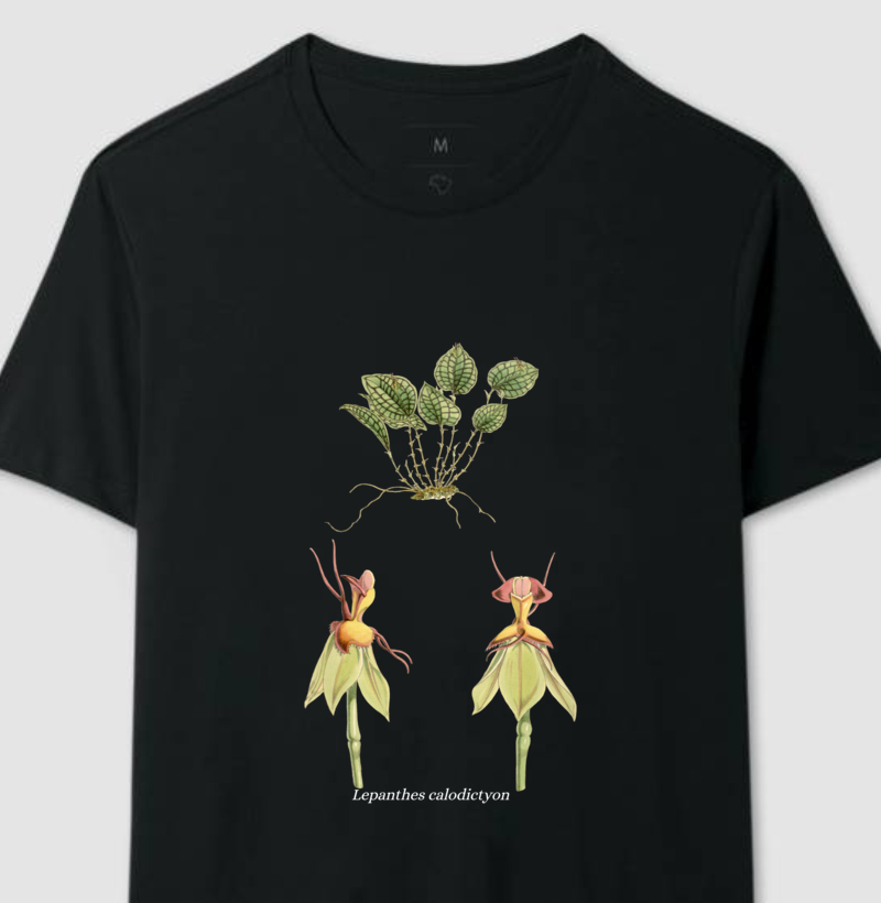 Camiseta Lepanthes calodictyon t-shirt