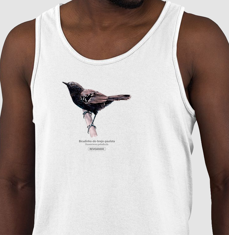 Aves do Brasil - Bicudinho-do-brejo-paulista - Regata