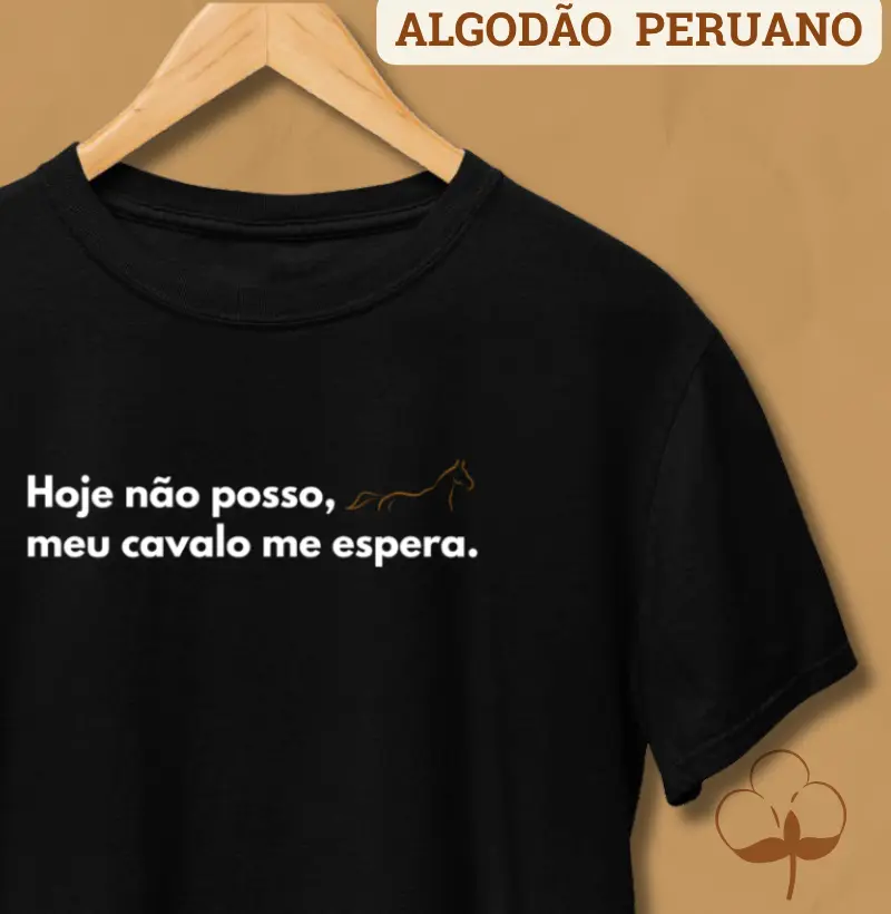 Não posso meu cavalo me espera 
