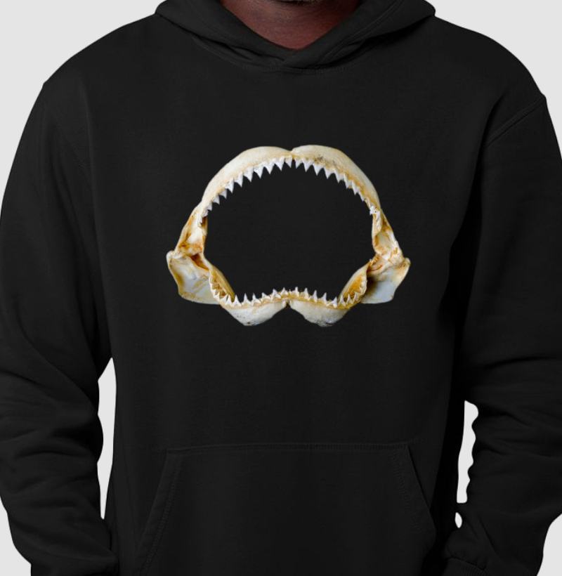 Jaws