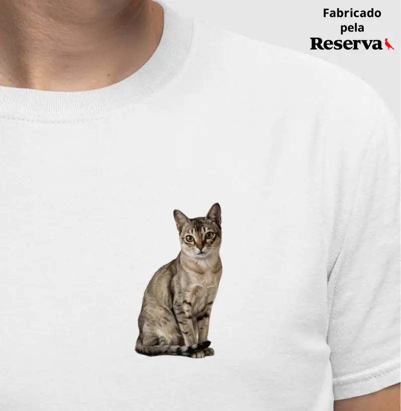 Gato Singapura Minimalista