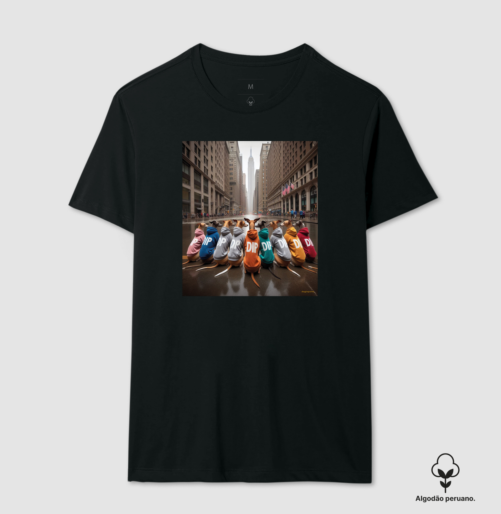 Colors NY