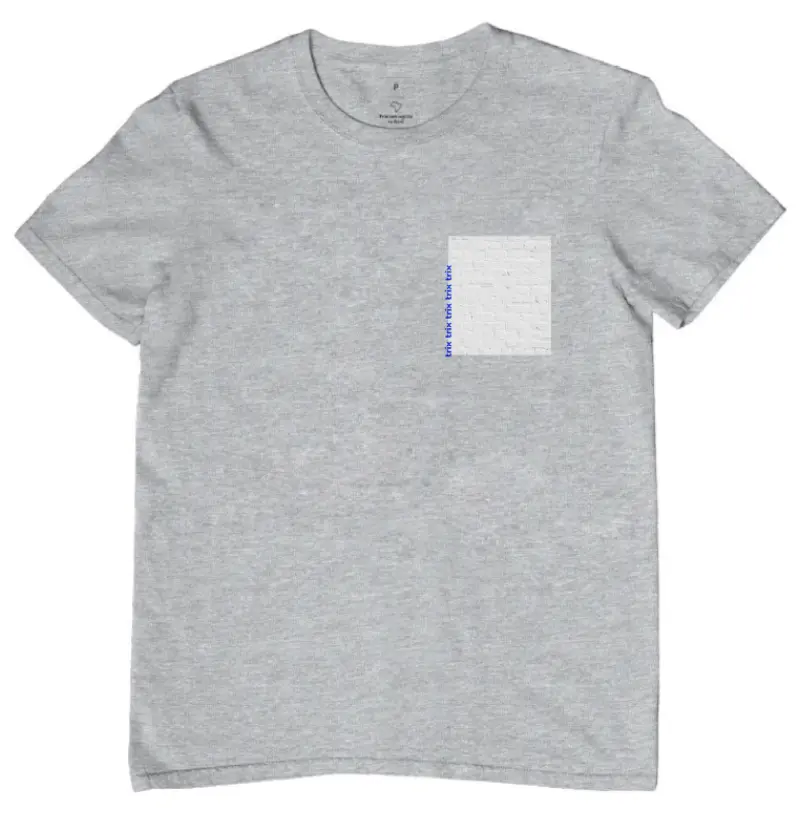 Camiseta Cinza 2